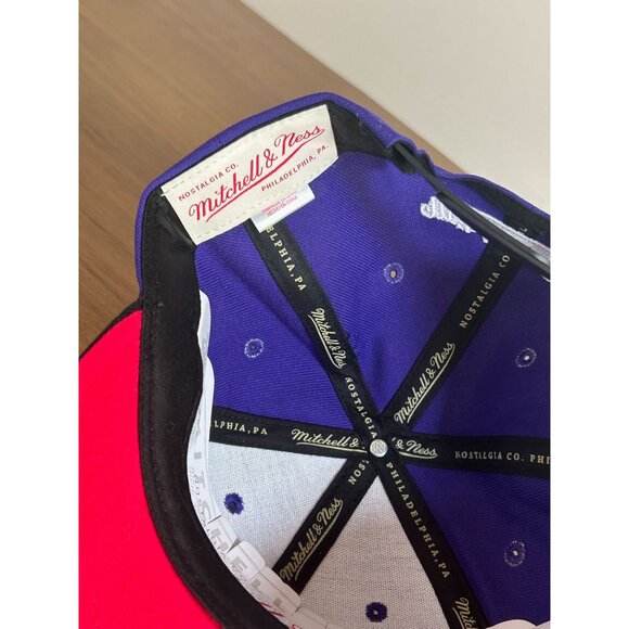 NWT Toronto Raptors NBA Mitchell & Ness x HWC Snapback Adjustable Throwback - Picture 6 of 6